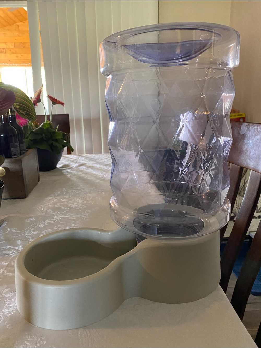 Automatic Pet Waterer in Clear and Cream
